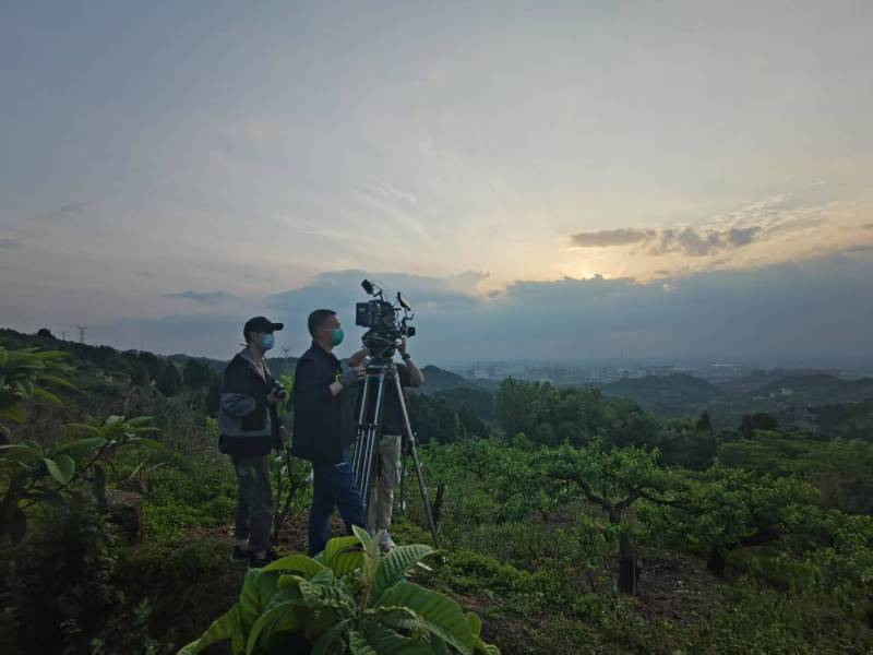 创意破圈！华龙区电商产品宣传视频用故事化叙事引爆流量