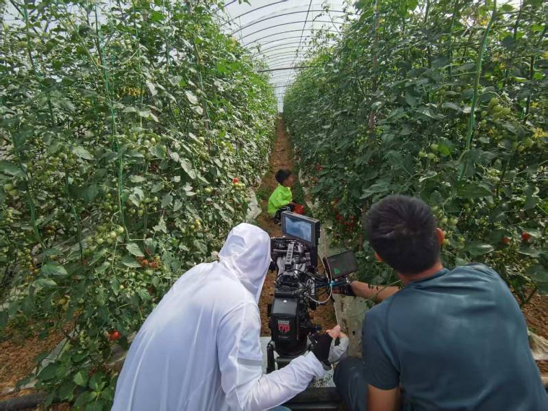 华龙区产品宣传视频拍摄公司进阶指南，助力品牌抢占传播高地